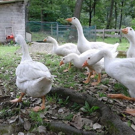 Agriturismo Villa Brugolta Lavena Ponte Tresa Dış mekan fotoğraf